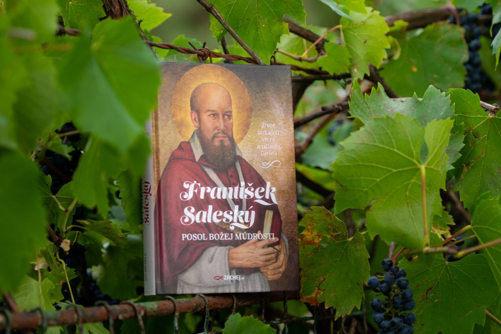 Nová kniha: František Saleský: Posol Božej múdrosti 1